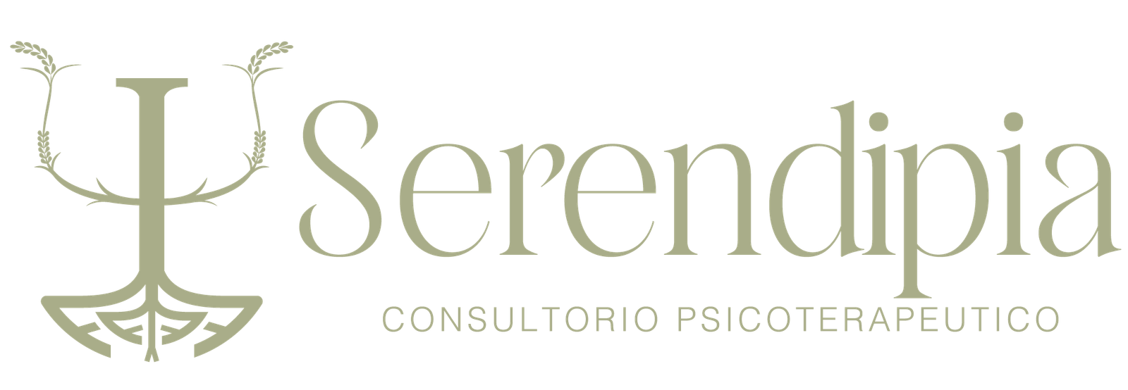 Serendipia consultorio psicoterapéutico Psicología en Bucaramanga